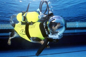 Vacanze full immersion: consigli e regole