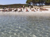 sardegna spiagge