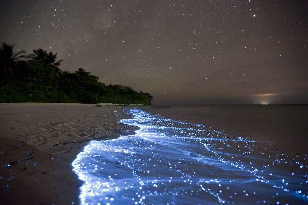 Il mare di stelle a Vaadhoo, isola delle Maldive
