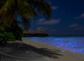 Vaadhoo, spiaggia magica delle Maldive che si illumina di notte