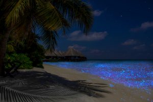 Vaadhoo, spiaggia magica delle Maldive che si illumina di notte